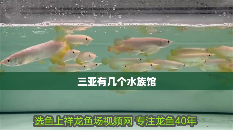三亞有幾個水族館