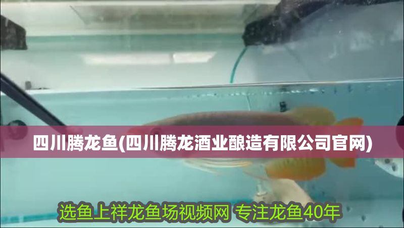 四川騰龍魚(四川騰龍酒業釀造有限公司官網)