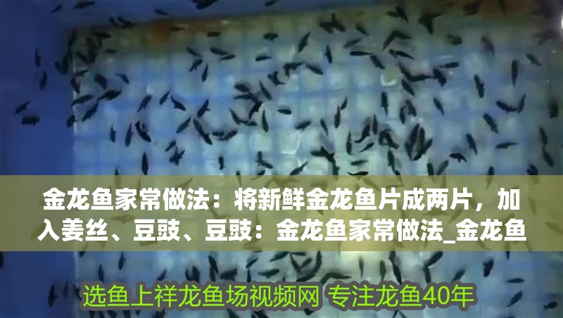 金龍魚家常做法：將新鮮金龍魚片成兩片，加入姜絲、豆豉、豆豉：金龍魚家常做法_金龍魚怎么做