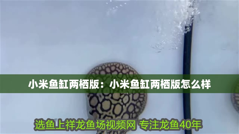 小米魚缸兩棲版：小米魚缸兩棲版怎么樣