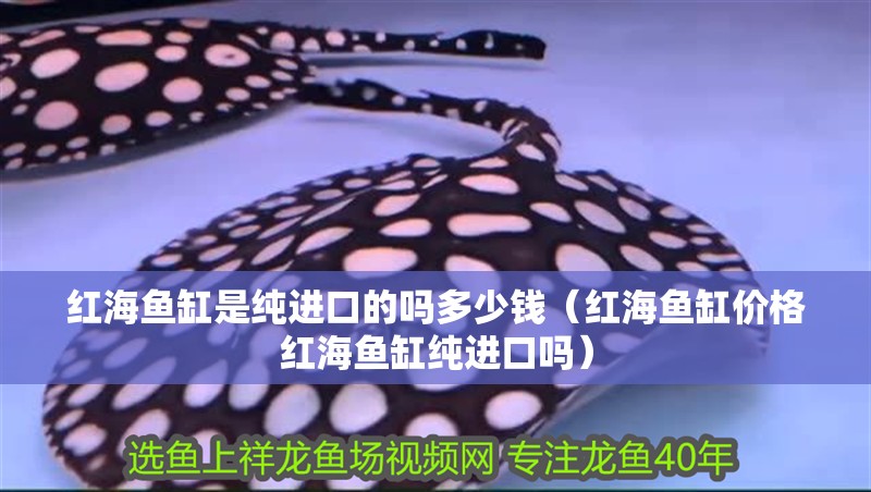 紅海魚缸是純進(jìn)口的嗎多少錢（紅海魚缸價(jià)格紅海魚缸純進(jìn)口嗎）