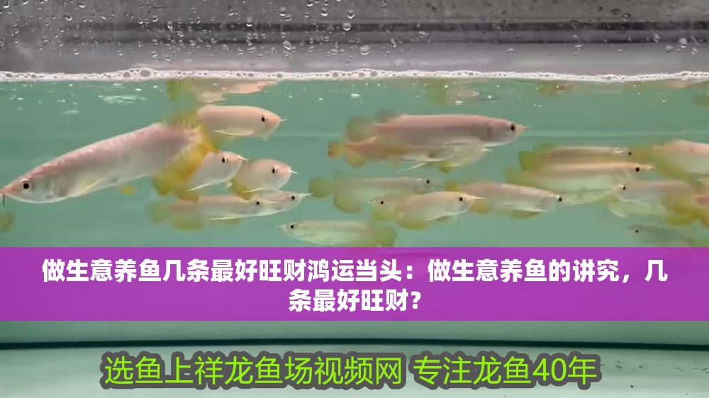 做生意養魚幾條最好旺財鴻運當頭：做生意養魚的講究，幾條最好旺財？