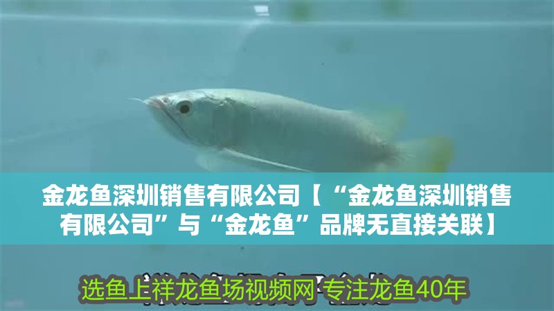 金龍魚深圳銷售有限公司【“金龍魚深圳銷售有限公司”與“金龍魚”品牌無直接關聯】