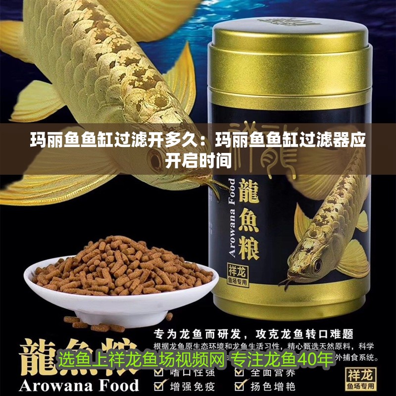 瑪麗魚(yú)魚(yú)缸過(guò)濾開(kāi)多久：瑪麗魚(yú)魚(yú)缸過(guò)濾器應(yīng)開(kāi)啟時(shí)間