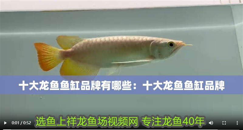十大龍魚(yú)魚(yú)缸品牌有哪些：十大龍魚(yú)魚(yú)缸品牌