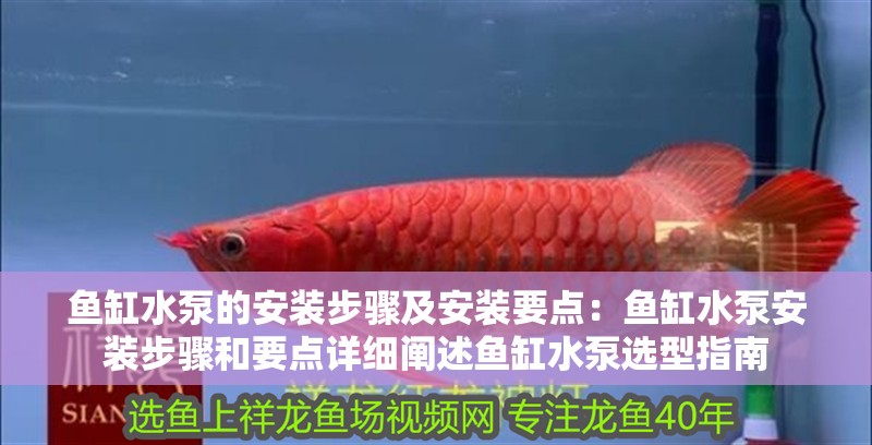魚缸水泵的安裝步驟及安裝要點：魚缸水泵安裝步驟和要點詳細闡述魚缸水泵選型指南 魚缸水泵的安裝步驟及安裝要點：魚缸水泵安裝步驟和要點詳細闡述魚缸水泵選型指南 魚缸百科