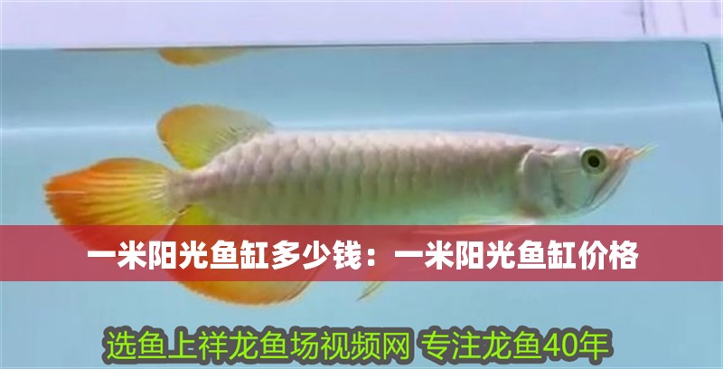 一米陽光魚缸多少錢：一米陽光魚缸價格