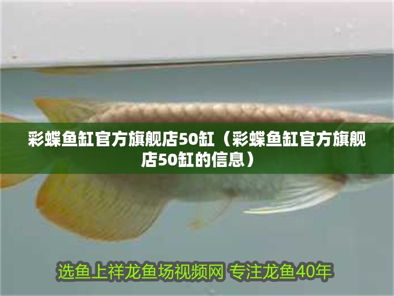 彩蝶魚缸官方旗艦店50缸（彩蝶魚缸官方旗艦店50缸的信息）