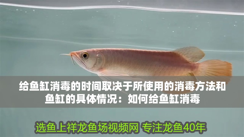 給魚缸消毒的時間取決于所使用的消毒方法和魚缸的具體情況：如何給魚缸消毒