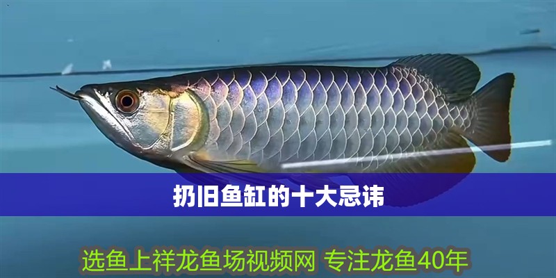 扔舊魚缸的十大忌諱