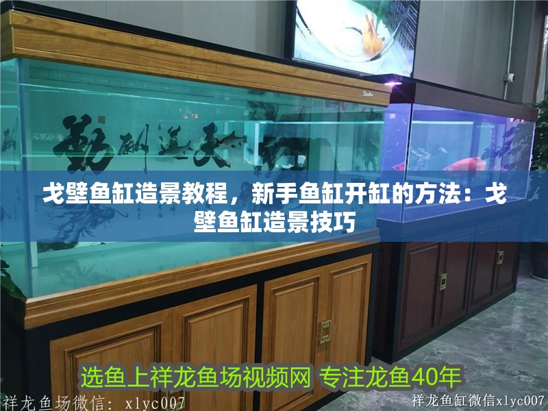 戈壁魚缸造景教程，新手魚缸開缸的方法：戈壁魚缸造景技巧