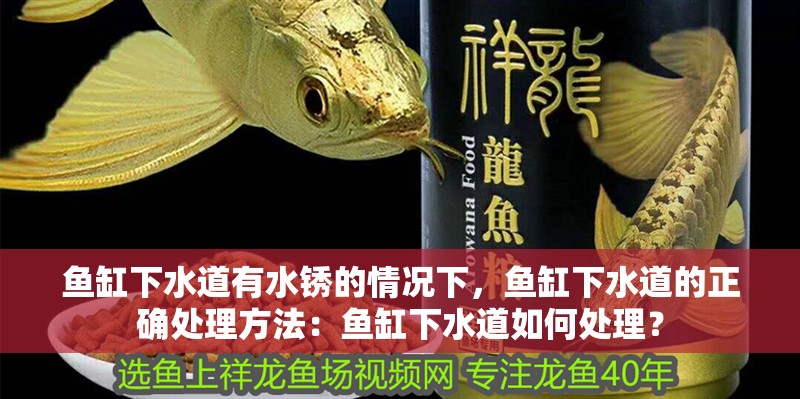 魚缸下水道有水銹的情況下，魚缸下水道的正確處理方法：魚缸下水道如何處理？