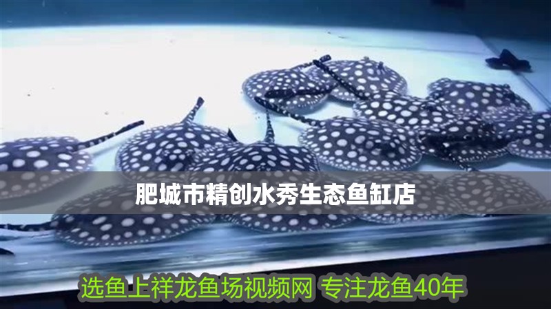 肥城市精創水秀生態魚缸店