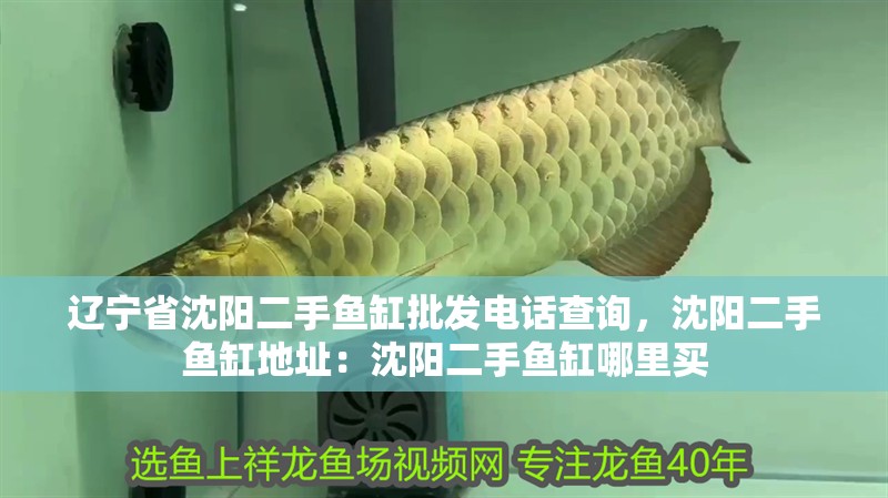 遼寧省沈陽二手魚缸批發電話查詢，沈陽二手魚缸地址：沈陽二手魚缸哪里買