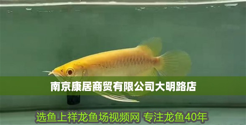 南京康居商貿(mào)有限公司大明路店