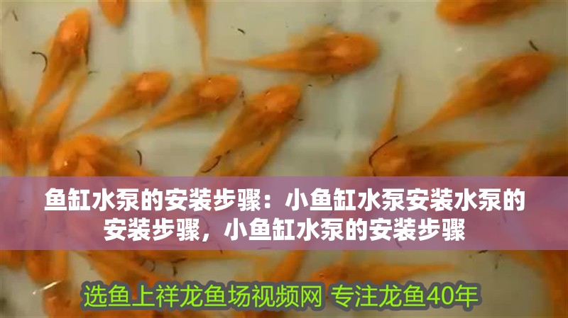 魚缸水泵的安裝步驟：小魚缸水泵安裝水泵的安裝步驟，小魚缸水泵的安裝步驟