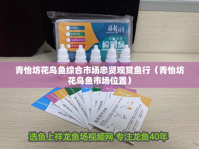 青怡坊花鳥魚綜合市場忠賢觀賞魚行（青怡坊花鳥魚市場位置）