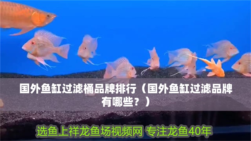 國外魚缸過濾桶品牌排行（國外魚缸過濾品牌有哪些？）