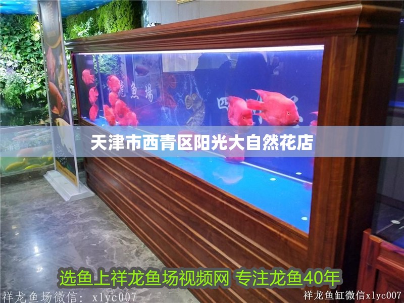 天津市西青區(qū)陽光大自然花店