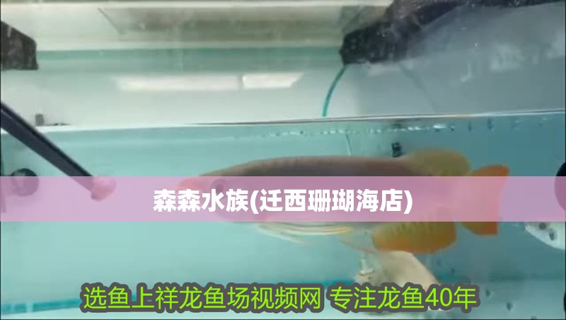 森森水族(遷西珊瑚海店)