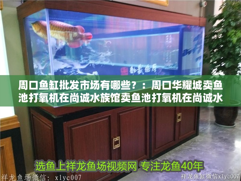 周口魚缸批發市場有哪些？：周口華耀城賣魚池打氧機在尚誠水族館賣魚池打氧機在尚誠水族館