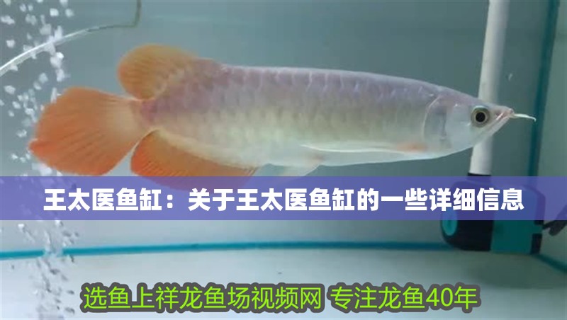 王太醫(yī)魚缸：關(guān)于王太醫(yī)魚缸的一些詳細(xì)信息