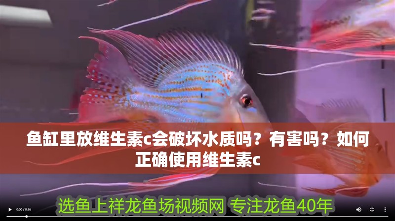 魚缸里放維生素c會破壞水質嗎？有害嗎？如何正確使用維生素c