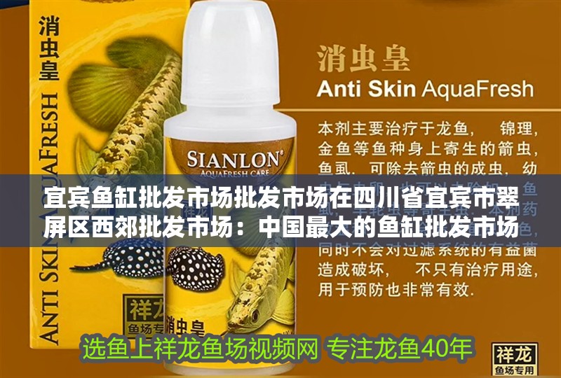 宜賓魚缸批發市場批發市場在四川省宜賓市翠屏區西郊批發市場：中國最大的魚缸批發市場在哪里？ 宜賓魚缸批發市場批發市場在四川省宜賓市翠屏區西郊批發市場：中國最大的魚缸批發市場在哪里？ 魚缸百科
