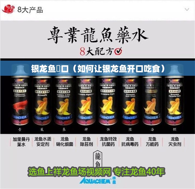 銀龍魚幵口（如何讓銀龍魚開口吃食）