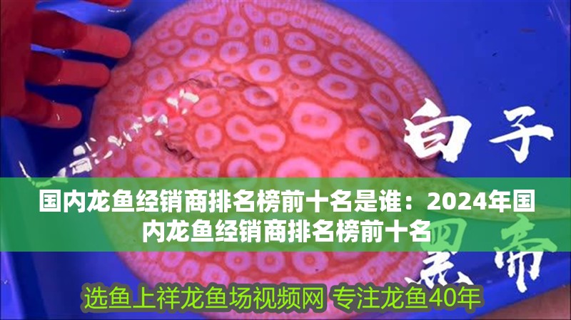 國內龍魚經銷商排名榜前十名是誰：2024年國內龍魚經銷商排名榜前十名