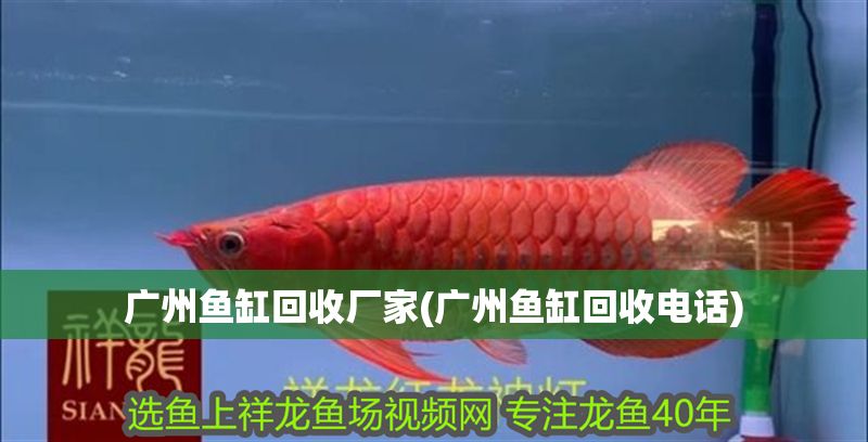 廣州魚缸回收廠家(廣州魚缸回收電話)