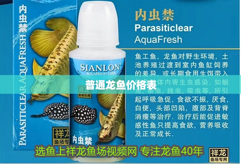 普通龍魚價(jià)格表
