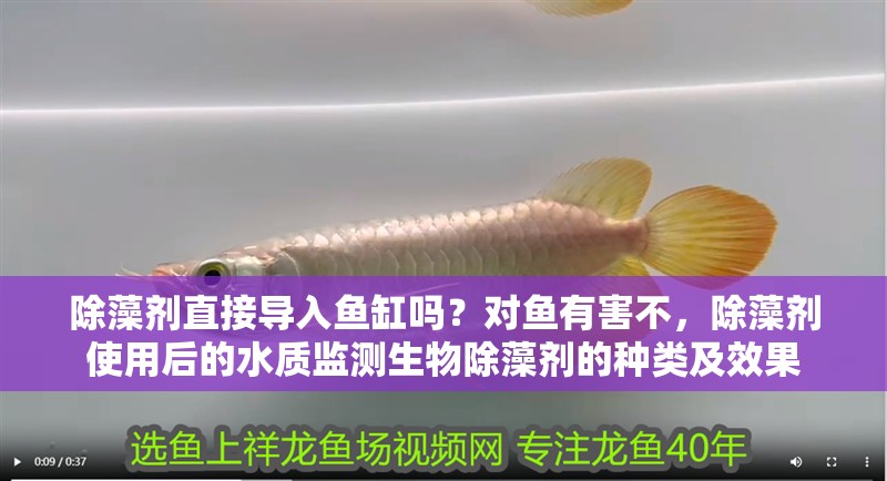 除藻劑直接導入魚缸嗎？對魚有害不，除藻劑使用后的水質監測生物除藻劑的種類及效果