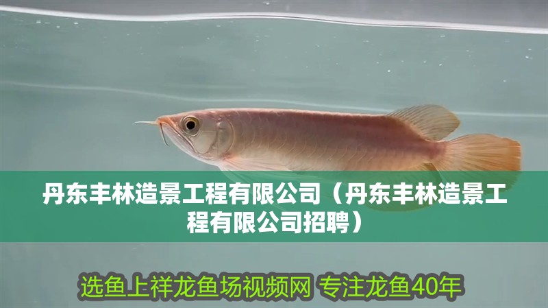 丹東豐林造景工程有限公司（丹東豐林造景工程有限公司招聘）