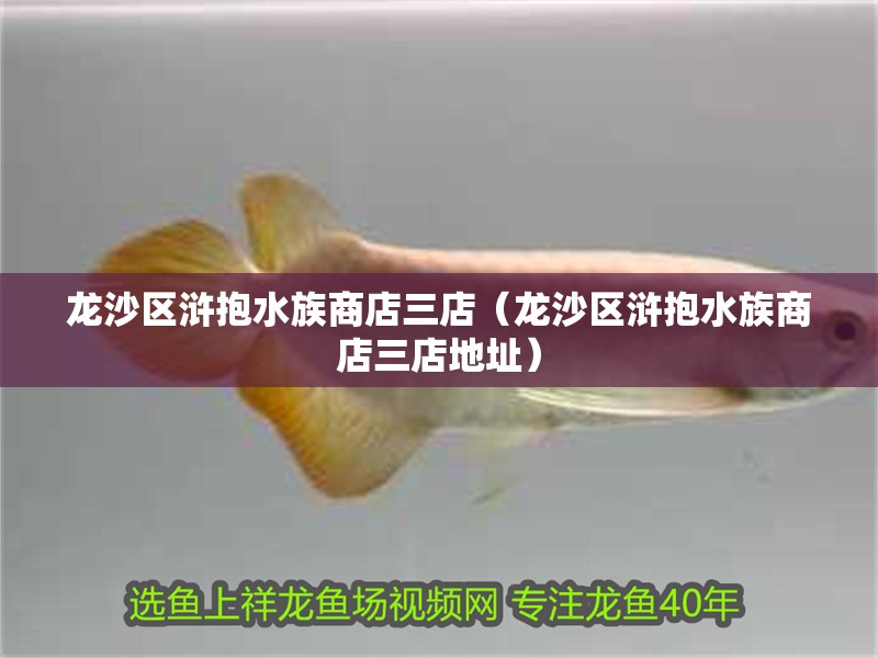 龍沙區滸抱水族商店三店（龍沙區滸抱水族商店三店地址）