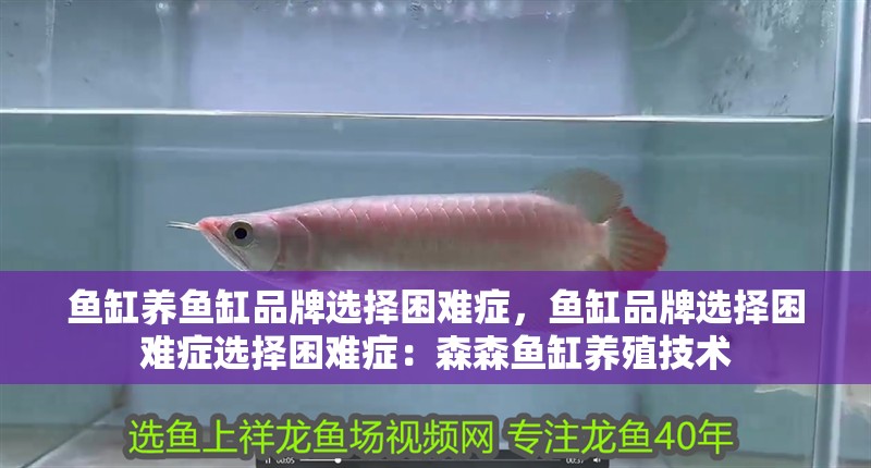 魚缸養(yǎng)魚缸品牌選擇困難癥，魚缸品牌選擇困難癥選擇困難癥：森森魚缸養(yǎng)殖技術(shù)