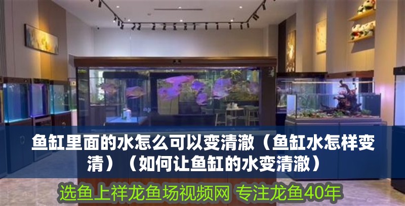 魚缸里面的水怎么可以變清澈（魚缸水怎樣變清）（如何讓魚缸的水變清澈）