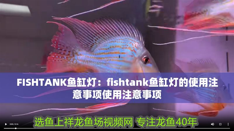 FISHTANK魚缸燈：fishtank魚缸燈的使用注意事項使用注意事項 FISHTANK魚缸燈：fishtank魚缸燈的使用注意事項使用注意事項 魚缸百科 第2張