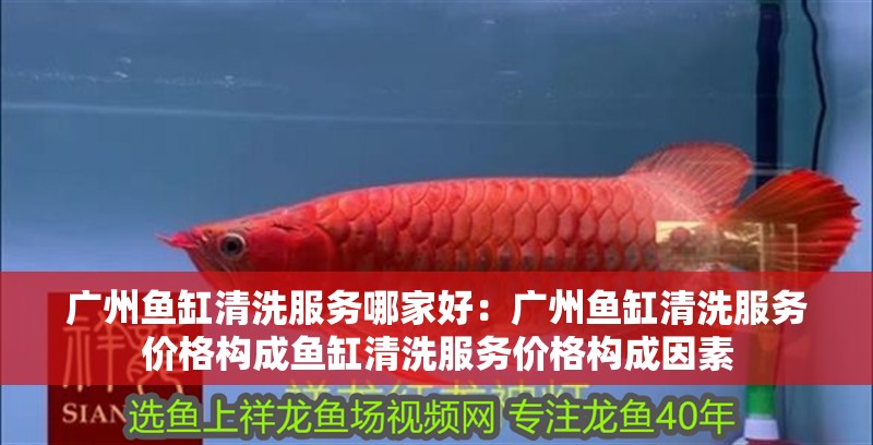 廣州魚缸清洗服務哪家好：廣州魚缸清洗服務價格構成魚缸清洗服務價格構成因素