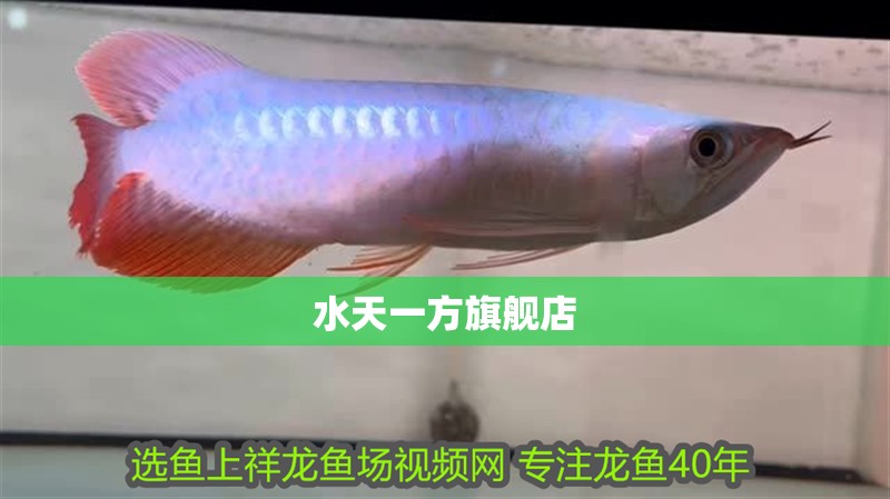 水天一方旗艦店