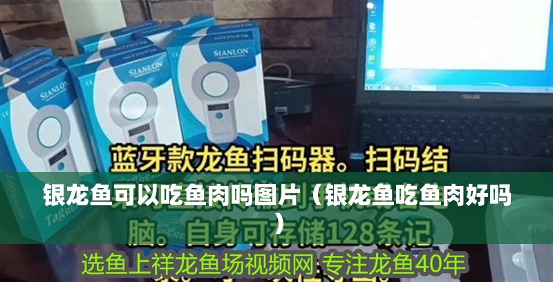 魚(yú)缸用增氧泵價(jià)格是多少:魚(yú)缸增氧機(jī)-xtrac增氧機(jī)-xtrac增氧機(jī) 銀龍魚(yú)可以吃魚(yú)肉嗎圖片(銀龍魚(yú)吃魚(yú)肉好嗎) 銀龍魚(yú)百科 銀龍魚(yú)可以吃魚(yú)肉嗎圖片(銀龍魚(yú)吃魚(yú)肉好嗎) 銀龍魚(yú)可以吃魚(yú)肉嗎圖片(銀龍魚(yú)吃魚(yú)肉好嗎) 銀龍魚(yú)百科