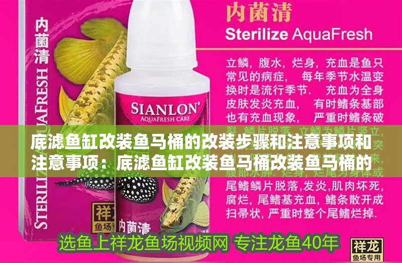 底濾魚缸改裝魚馬桶的改裝步驟和注意事項和注意事項：底濾魚缸改裝魚馬桶改裝魚馬桶的基本步驟和注意事項