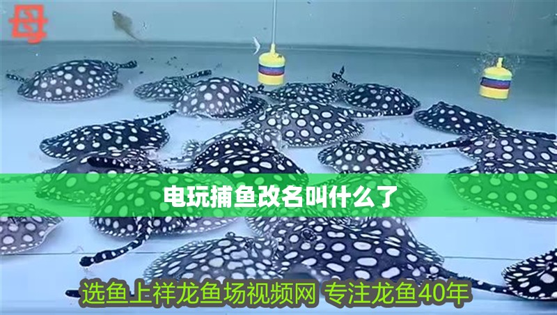 電玩捕魚改名叫什么了