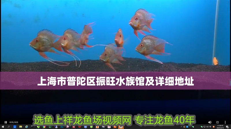 上海市普陀區振旺水族館及詳細地址