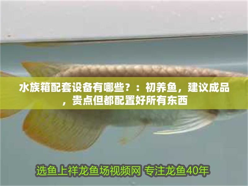 水族箱配套設(shè)備有哪些？：初養(yǎng)魚，建議成品，貴點(diǎn)但都配置好所有東西