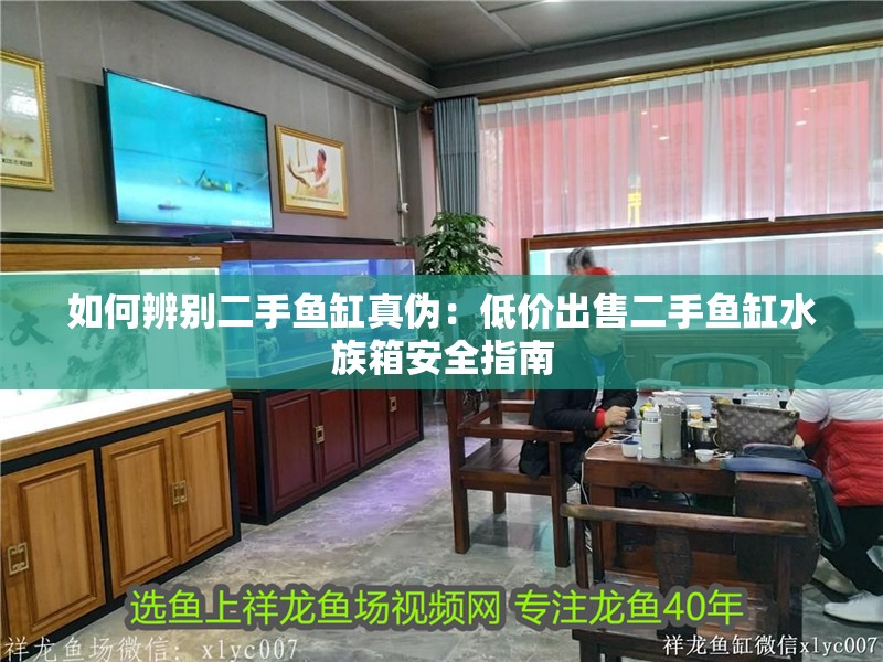 如何辨別二手魚缸真?zhèn)危旱蛢r出售二手魚缸水族箱安全指南