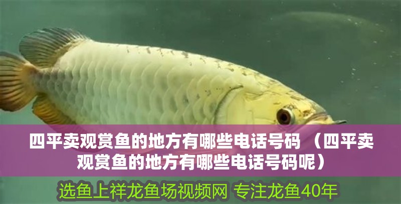 <strong><mark>四平</mark></strong>賣觀賞魚(yú)的地方有哪些電話號(hào)碼 （<strong><mark>四平</mark></strong>賣觀賞魚(yú)的地方有哪些電話號(hào)碼呢）