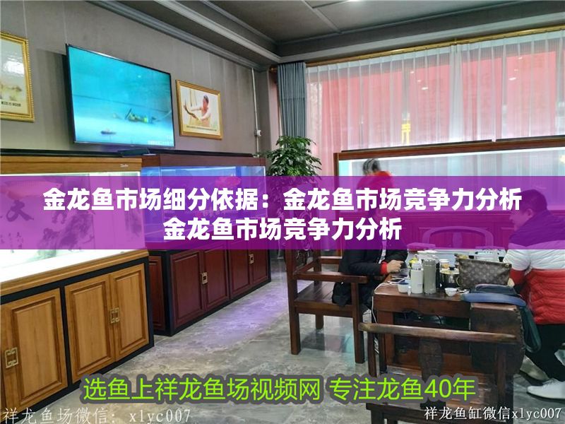 金龍魚市場細分依據：金龍魚市場競爭力分析金龍魚市場競爭力分析