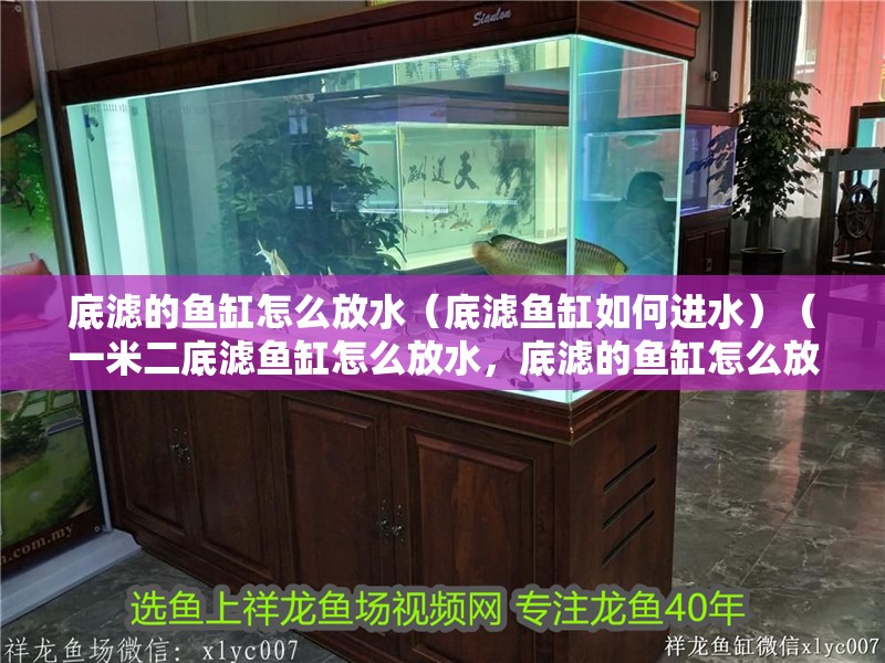底濾的魚缸怎么放水（底濾魚缸如何進水）（一米二底濾魚缸怎么放水，底濾的魚缸怎么放水，底濾魚缸怎么放水）