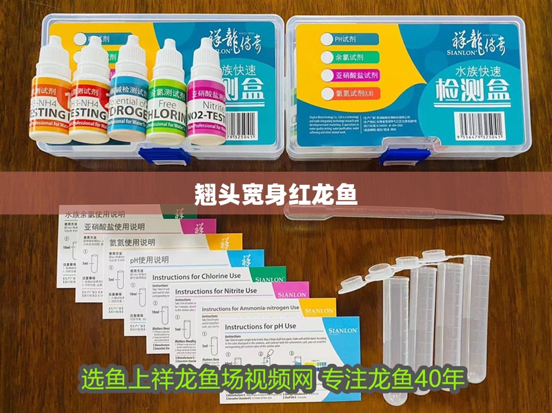 翹頭寬身紅龍魚